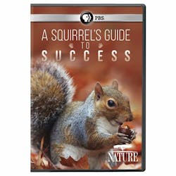 NATURE: A SQUIRREL'S GUIDE TO SUCCESS [DVD]