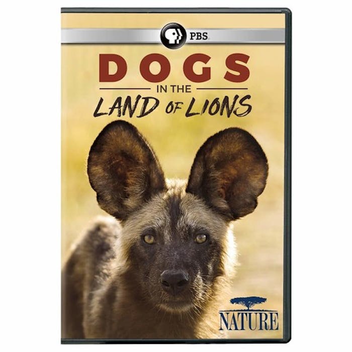 NATURE: DOGS IN THE LAND OF LIONS [DVD]