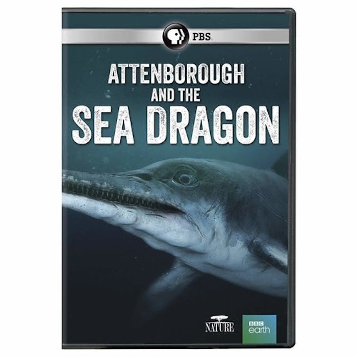 NATURE: ATTENBOROUGH & THE SEA DRAGON [DVD]