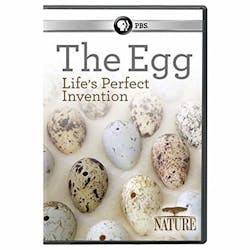 NATURE: EGG: LIFE'S PERFECT INVENTION [DVD]