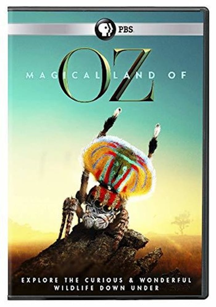 MAGICAL LAND OF OZ [DVD]