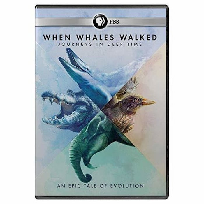 WHEN WHALES WALKED: A DEEP TIME JOURNEY [DVD]