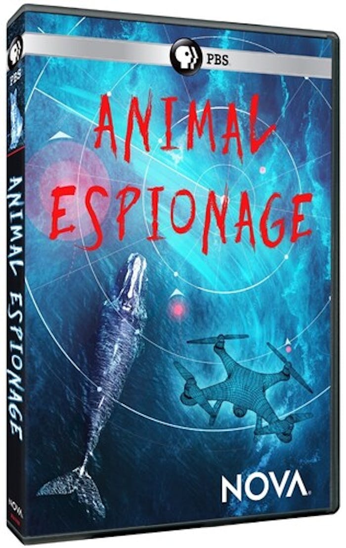 NOVA: ANIMAL ESPIONAGE [DVD]