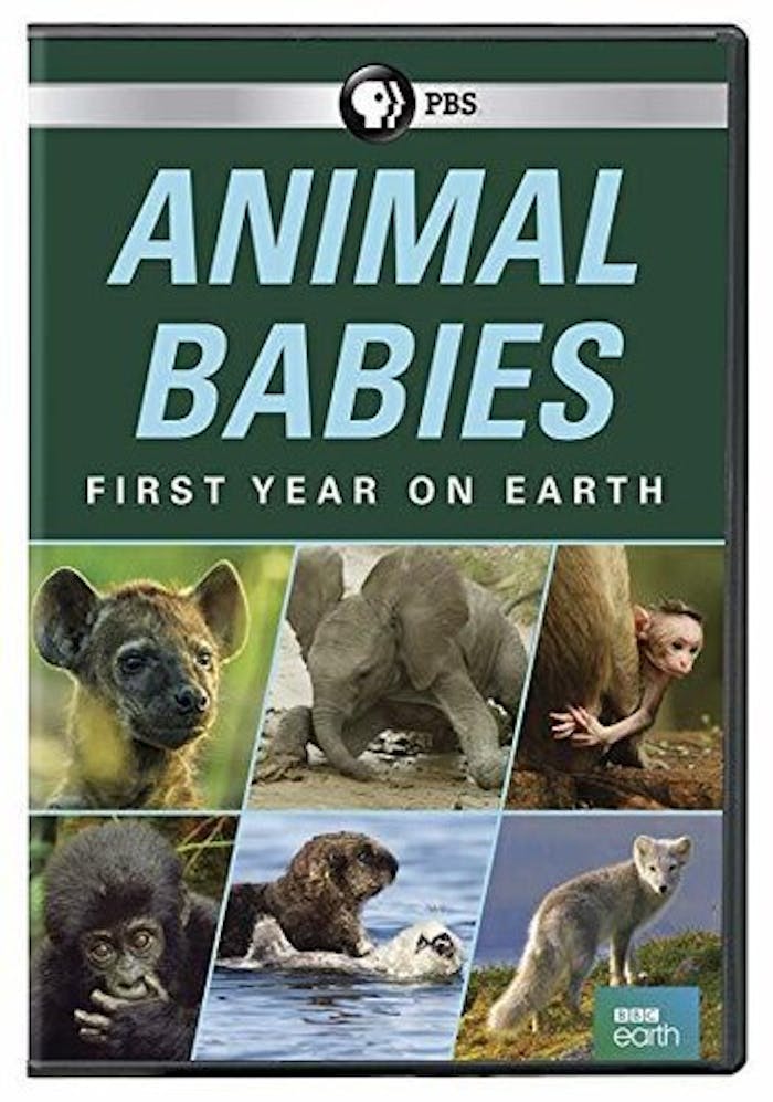 ANIMAL BABIES: FIRST YEAR ON EARTH [DVD]