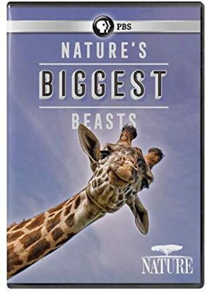 NATURE: NATURE'S BIGGEST BEASTS [DVD]