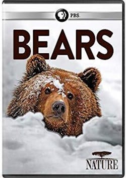 NATURE: BEARS [DVD]