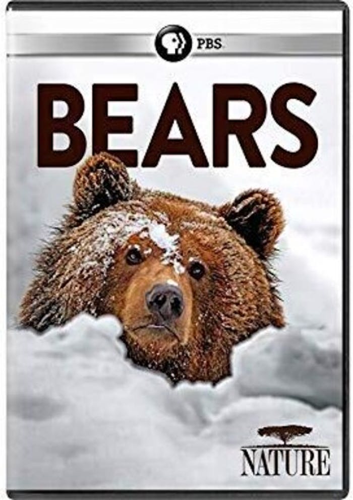 NATURE: BEARS [DVD]