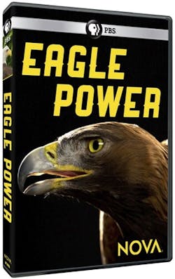 NOVA: EAGLE POWER [DVD]