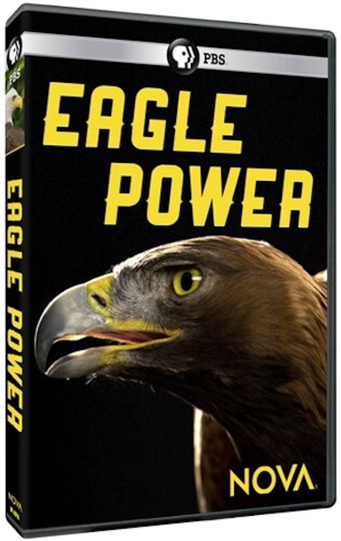 NOVA: EAGLE POWER [DVD]