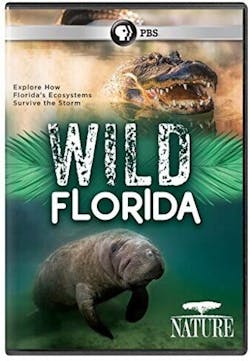 NATURE: WILD FLORIDA [DVD]