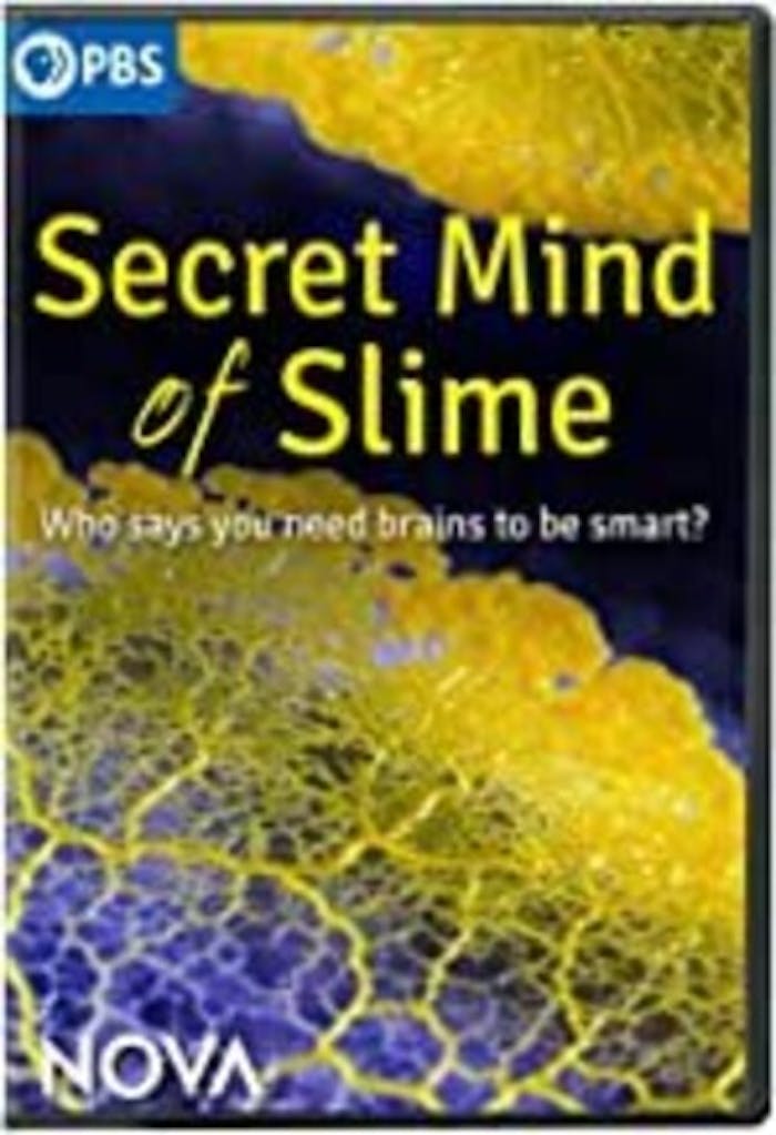 NOVA: SECRET MIND OF SLIME [DVD]