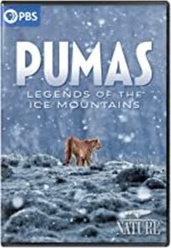 NATURE: PUMAS - LEGENDS OF THE ICE MOUNTAINS [DVD]