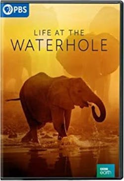 LIFE AT THE WATERHOLE [DVD]