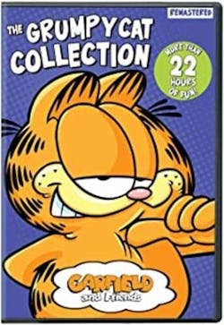 GARFIELD & FRIENDS: GRUMPY CAT COLLECTION [DVD]