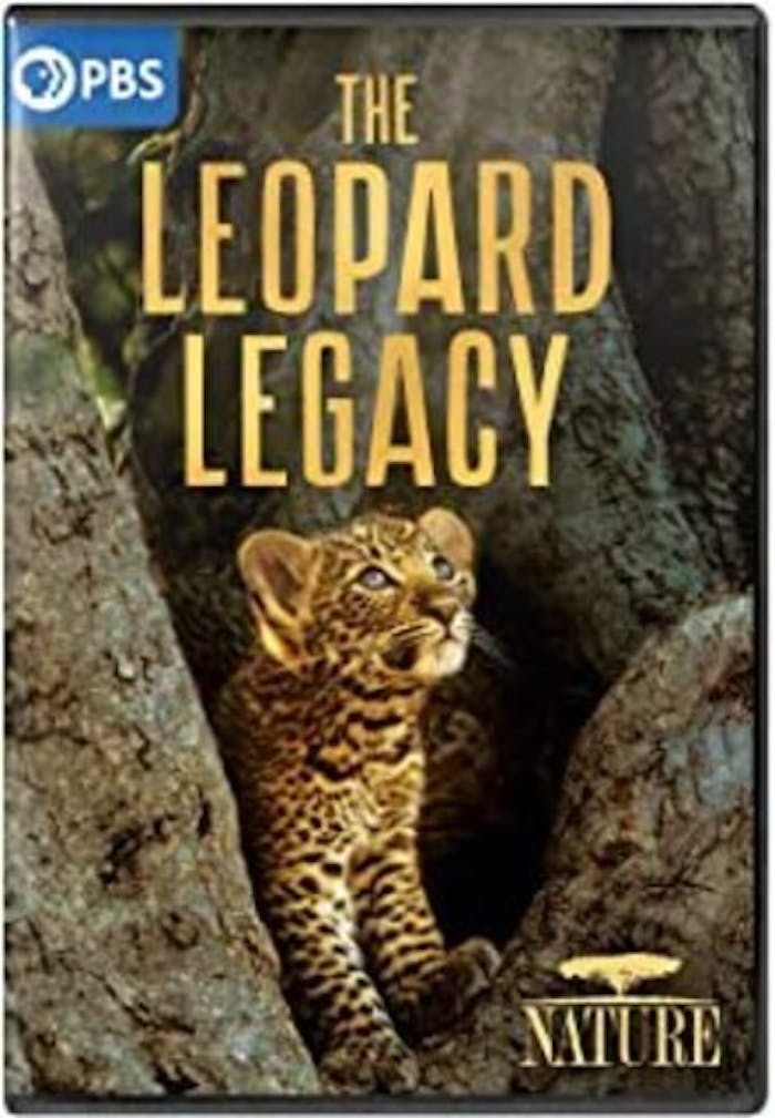 NATURE: THE LEOPARD LEGACY [DVD]