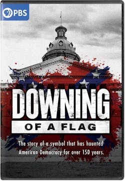 DOWNING OF A FLAG [DVD]