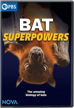 NOVA: BAT SUPERPOWERS [DVD]