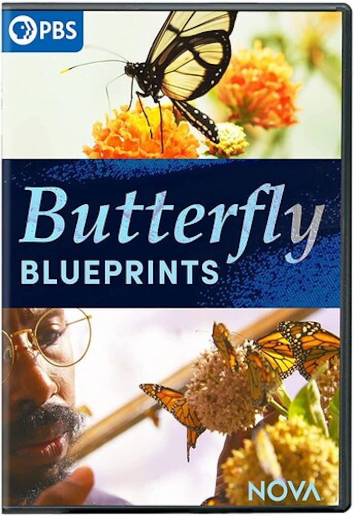 NOVA: BUTTERFLY BLUEPRINTS [DVD]