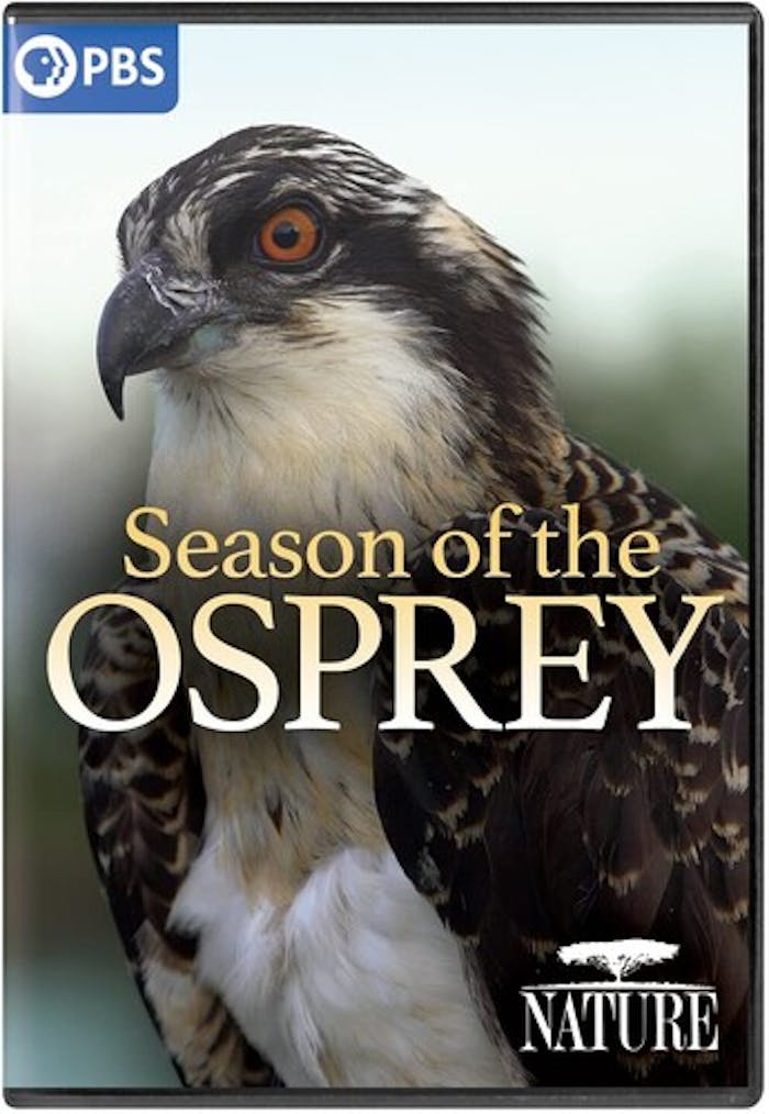 NATURE: SEASON OF THE OSPREY [DVD]