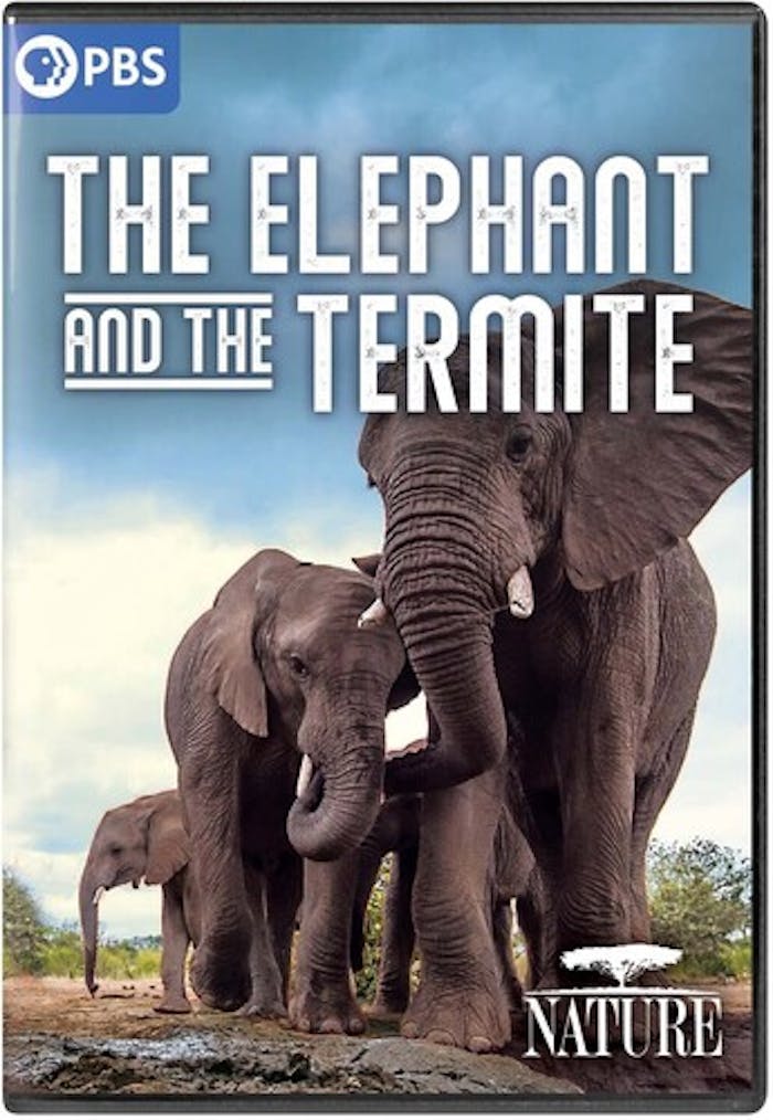 NATURE: ELEPHANT & THE TERMITE [DVD]