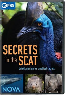 NOVA: SECRETS IN THE SCAT [DVD]