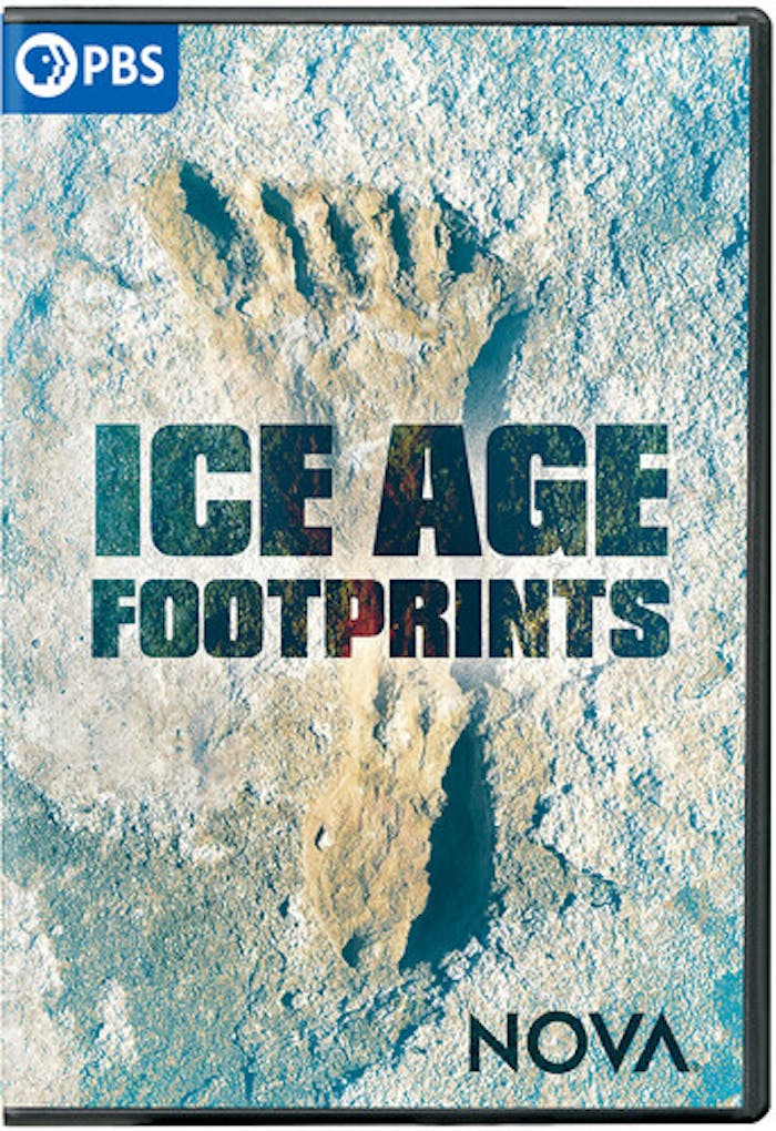 NOVA: ICE AGE FOOTPRINTS [DVD]