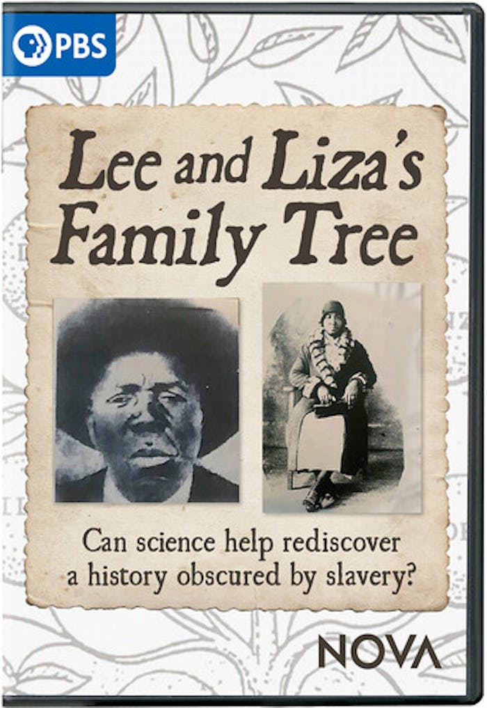 NOVA: LEE & LIZA'S FAMILY TREE [DVD]