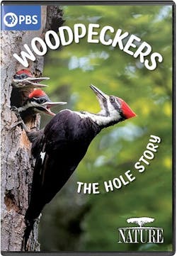 NATURE: WOODPECKERS - THE HOLE STORY [DVD]