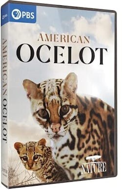 NATURE: AMERICAN OCELOT [DVD]