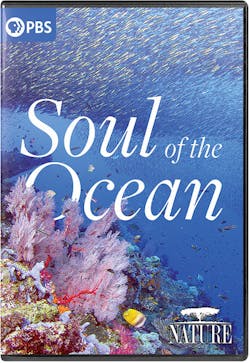 NATURE: SOUL OF THE OCEAN [DVD]