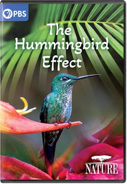 NATURE: THE HUMMINGBIRD EFFECT [DVD]