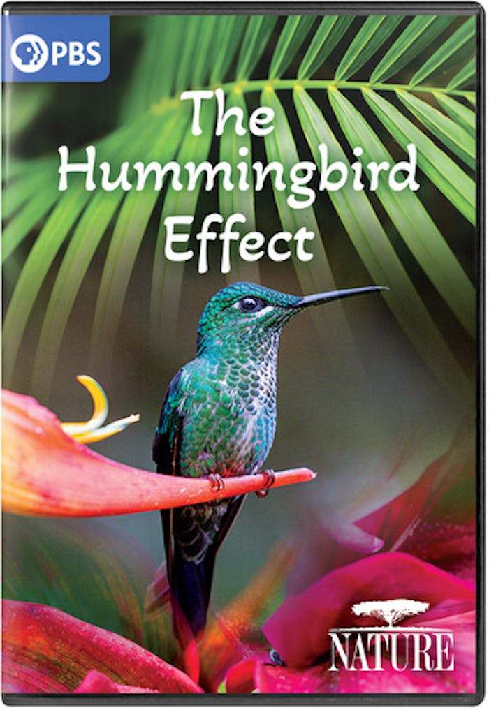 NATURE: THE HUMMINGBIRD EFFECT [DVD]