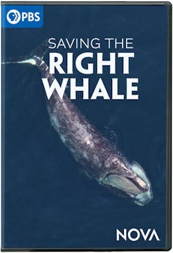 NOVA: SAVING THE RIGHT WHALE [DVD]