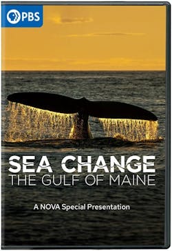 SEA CHANGE: GULF MAINE NOVA SPECIAL PRESENTATION [DVD]