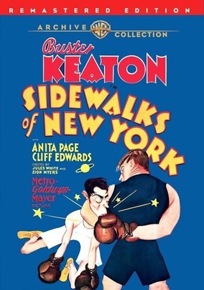 Sidewalks of New York [DVD]