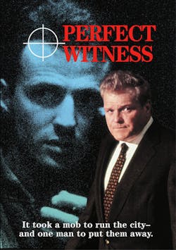 Perfect Witness [DVD]