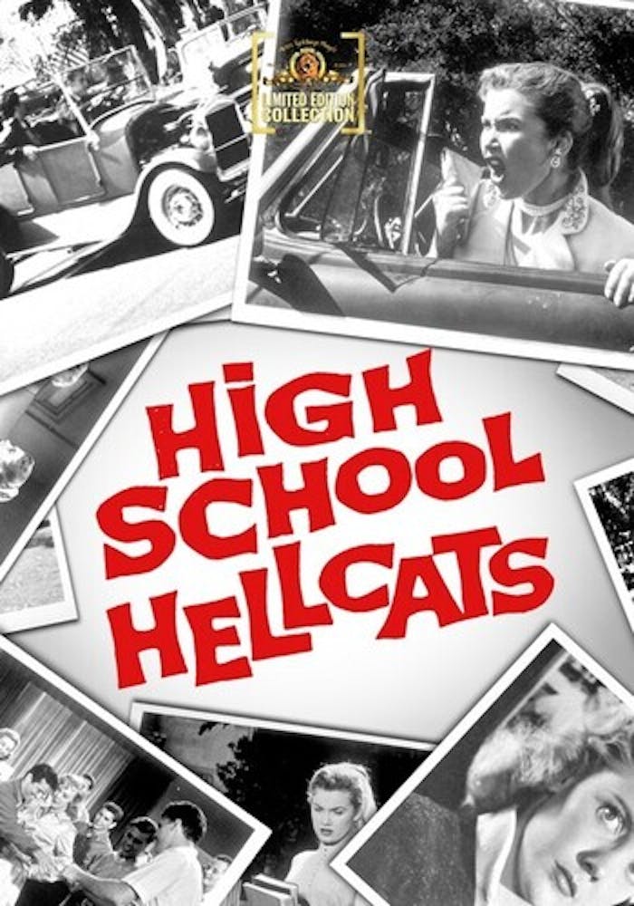 High School Hellcats [DVD]