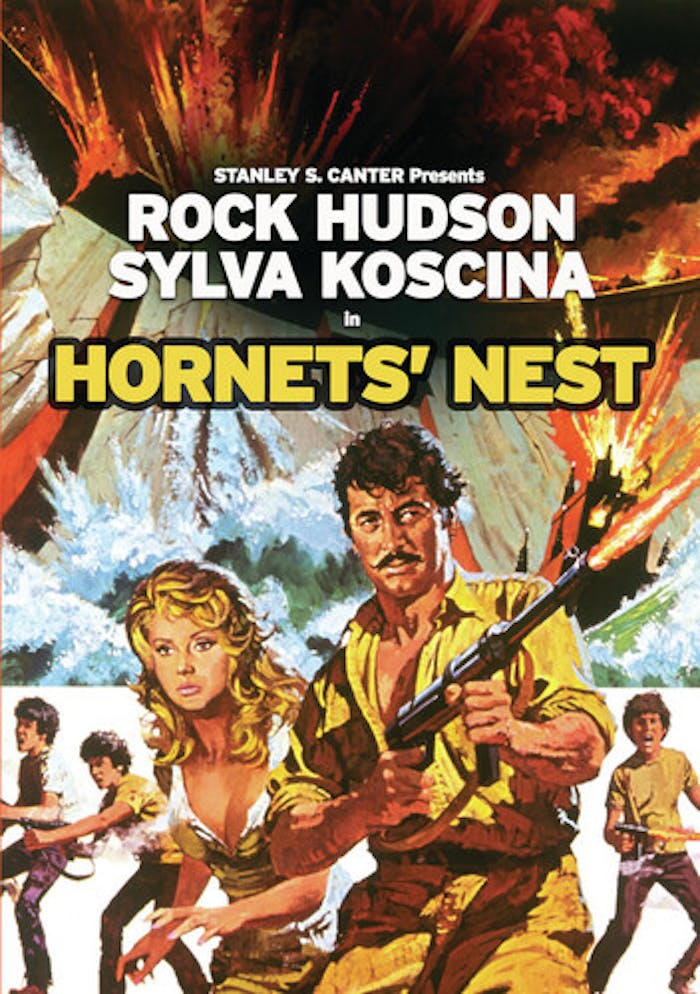 Hornet's Nest [DVD]