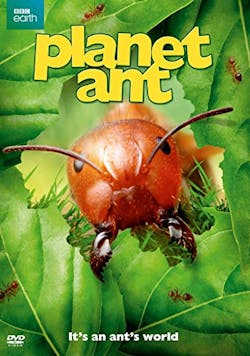 Planet Ant (DVD) [DVD]