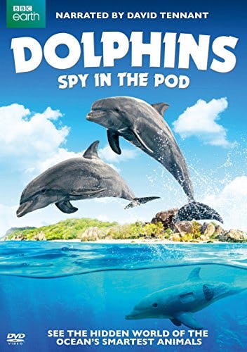 Dolphins Spy in the Pod  DVD