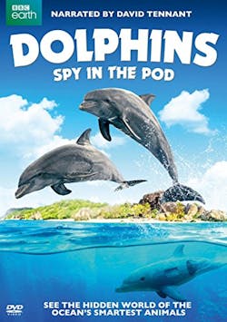 Dolphins: Spy in the Pod [DVD]