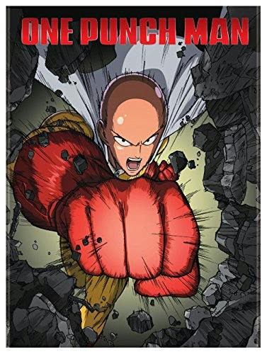 One - Punch Man Standard Edition - DVD