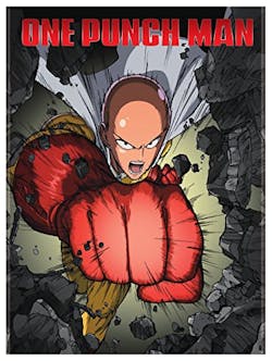 One - Punch Man Standard Edition [DVD]