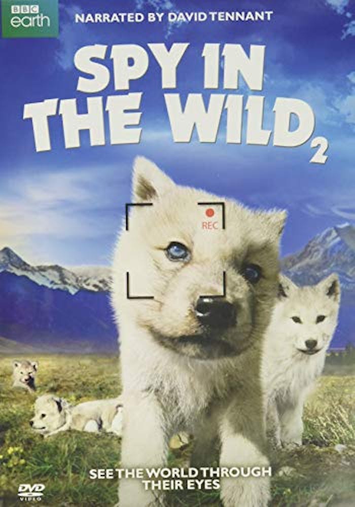 Spy in the Wild 2 [DVD]