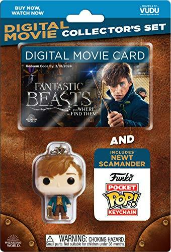 Fantastic Beasts and Where to Find Them (BlackFriday/DVD) [DVD] [Standard]