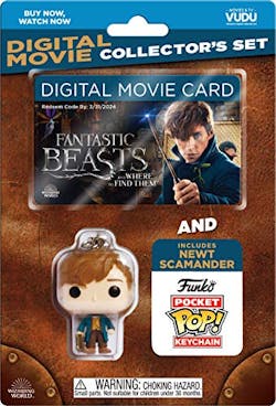 Fantastic Beasts and Where to Find Them (BlackFriday/DVD) [DVD]