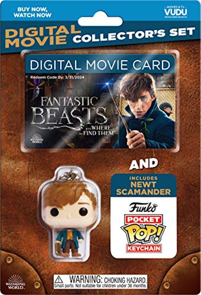 Fantastic Beasts and Where to Find Them (BlackFriday/DVD) [DVD]