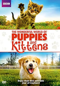Wonderful World of Puppies & Kittens (DVD) [DVD]
