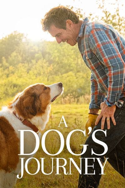 Watch Now A Dog s Journey in UHD GRUV Digital