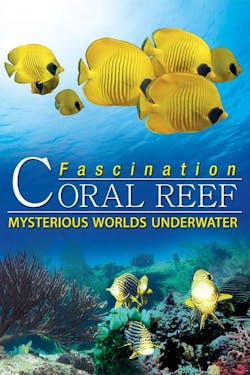 Fascination Coral Reef: Mysterious Worlds Underwater [Digital Code - HD]